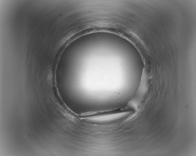 X0000071761065200607220004