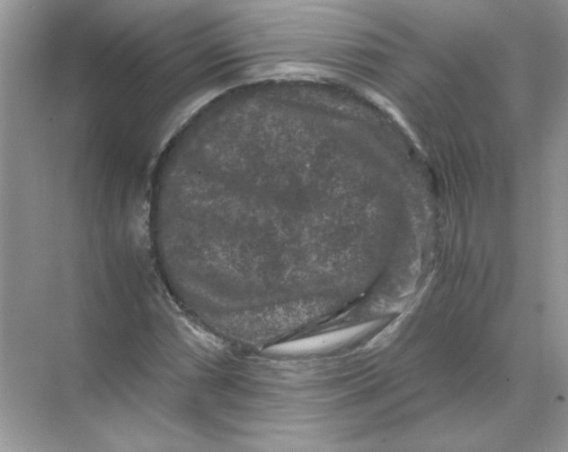 X0000071761066200607220004