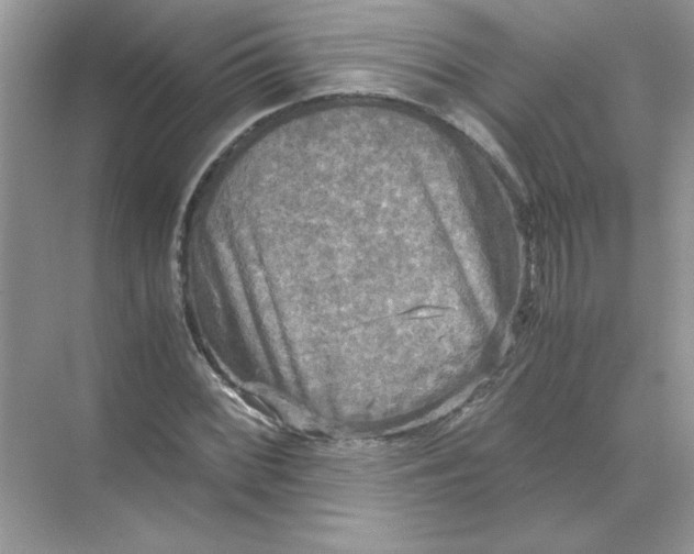 X0000071761068200607220004