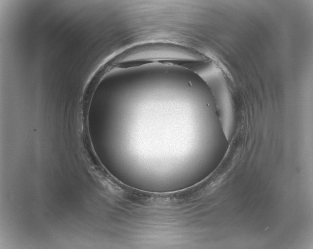 X0000071761069200607220004