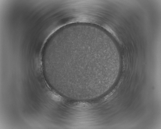 X0000071761070200607220004