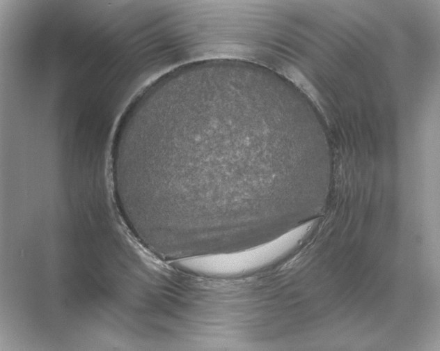 X0000071761072200607220004