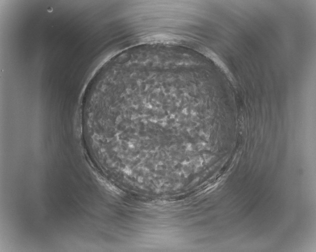 X0000071761075200607220004