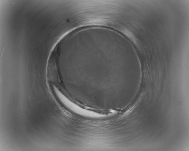 X0000071761077200607220004