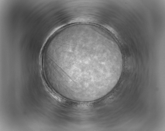 X0000071761078200607220004