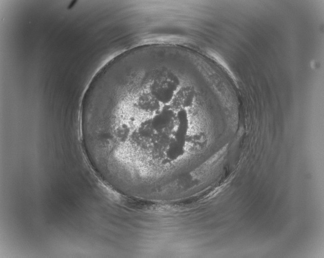 X0000071761079200607220004