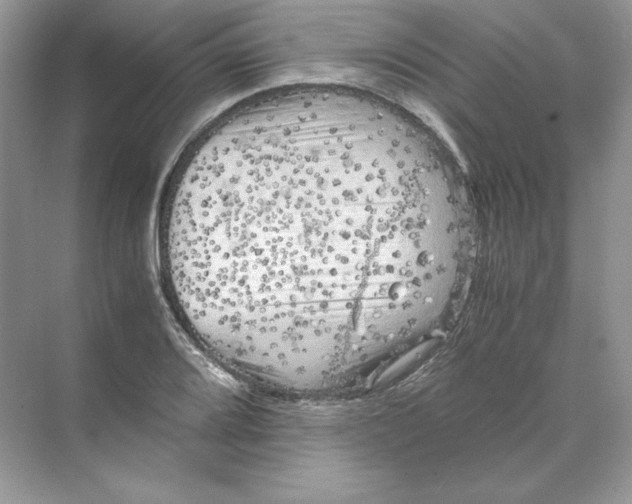 X0000071761080200607220004