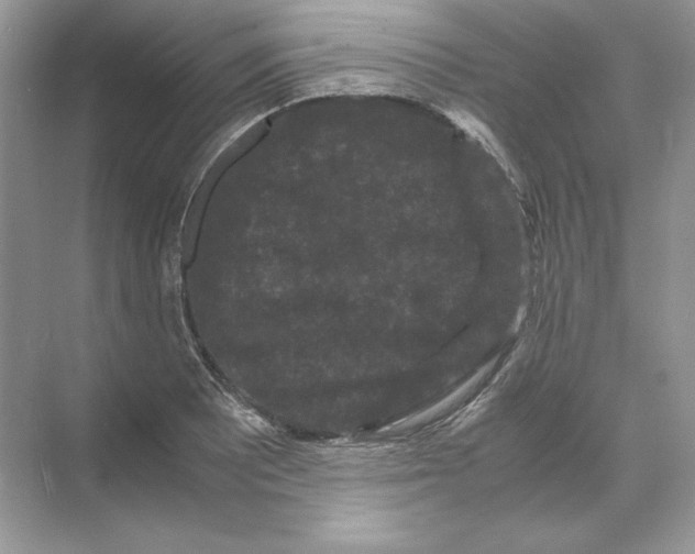 X0000071761081200607220003