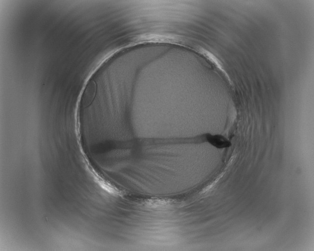 X0000071761082200607220003