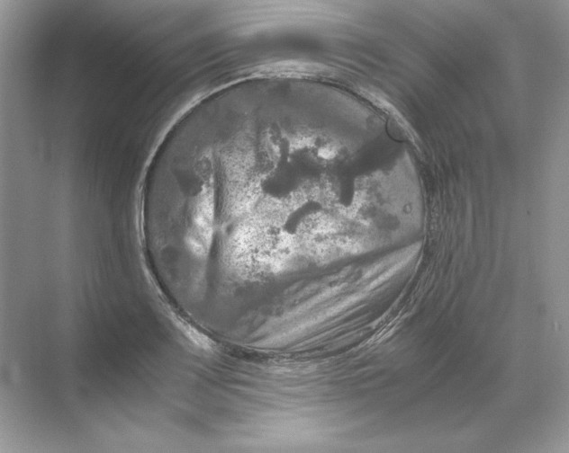 X0000071761083200607220003