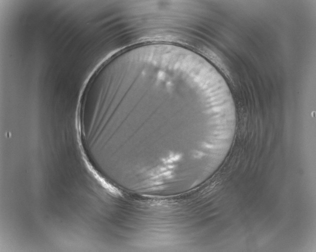 X0000071761084200607220003