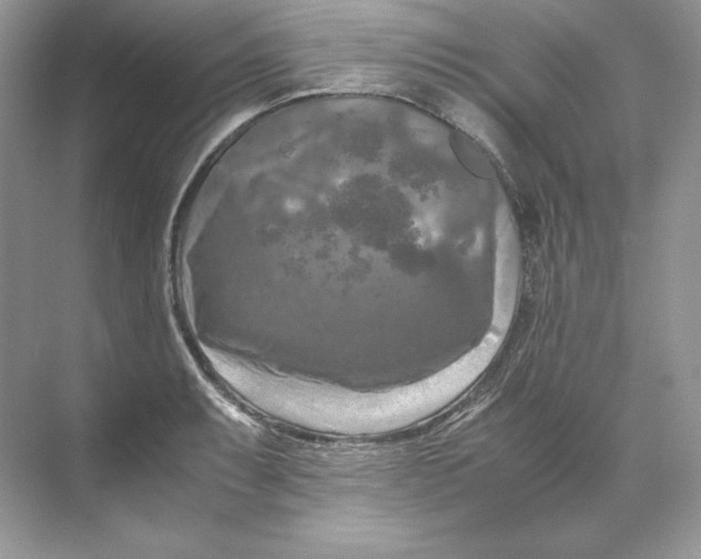 X0000071761087200607220003