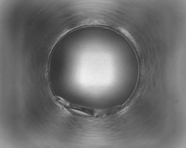 X0000071761089200607220003