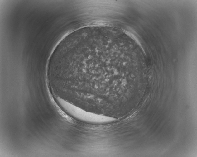 X0000071761091200607220003