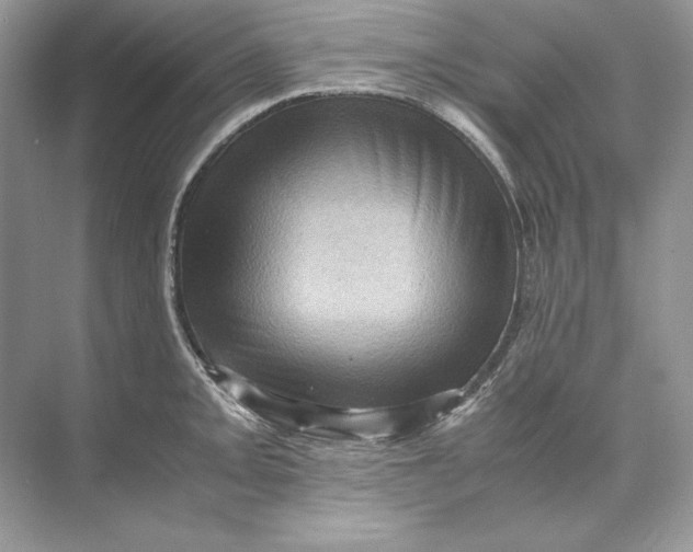 X0000071761093200607220003