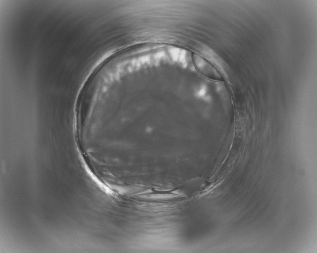 X0000071761095200607220003