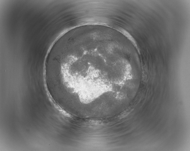 X0000071761096200607220003