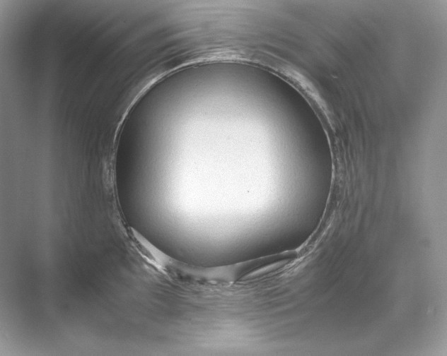 X0000071761097200607220003