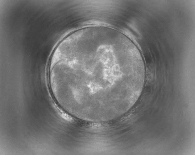 X0000071761098200607220003