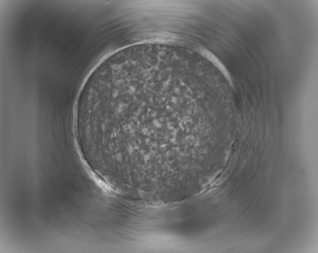 X0000071761099200607220003