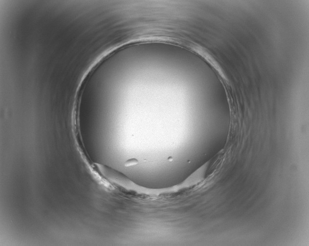 X0000071761101200607220003