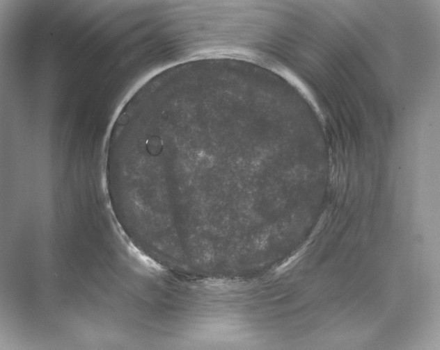 X0000071761102200607220003