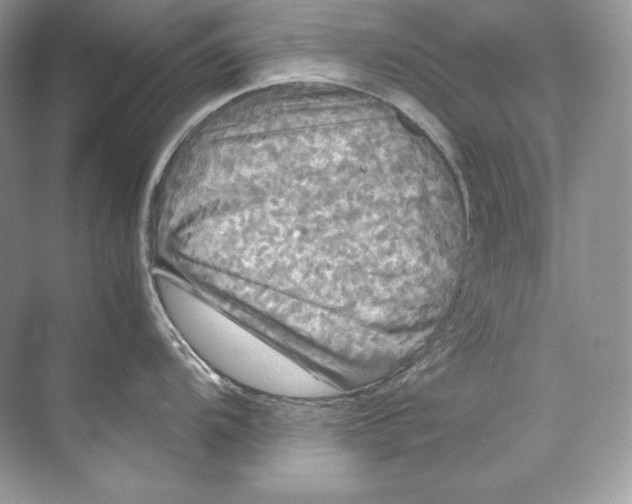 X0000071761104200607220003