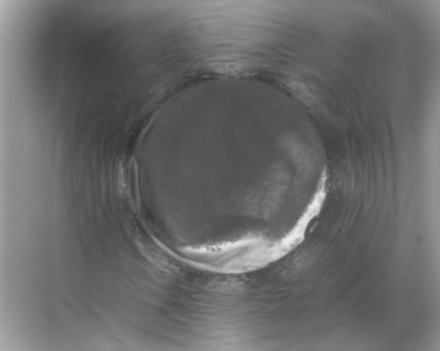 X0000071761106200607220002