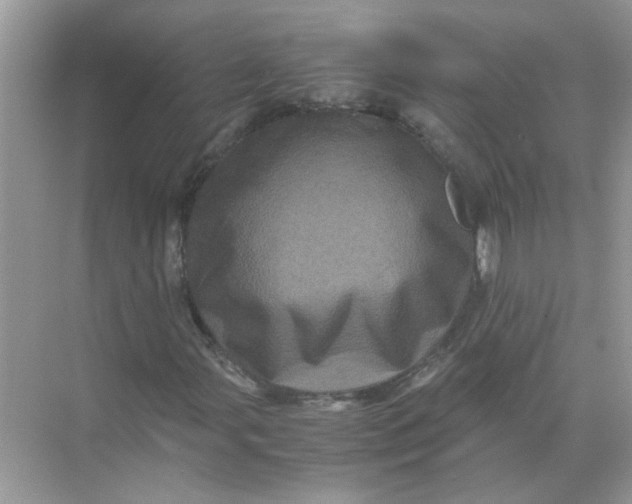 X0000071761107200607220002