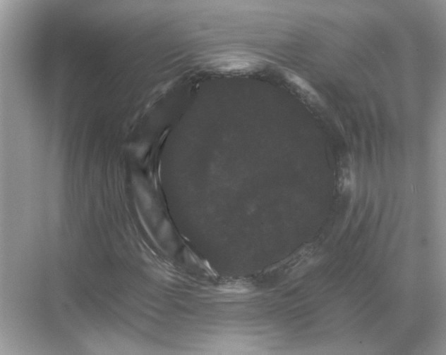 X0000071761108200607220002