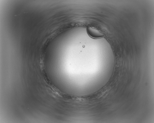 X0000071761109200607220002