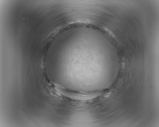 X0000071761110200607220002