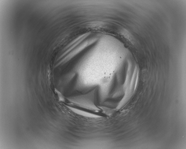 X0000071761111200607220002