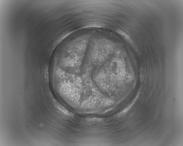 X0000071761113200607220002