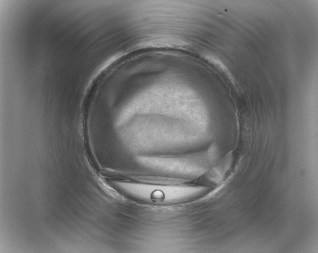 X0000071761114200607220002