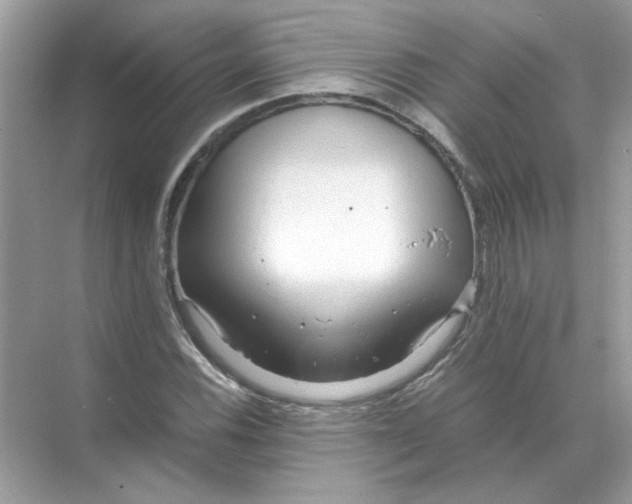 X0000071761116200607220002