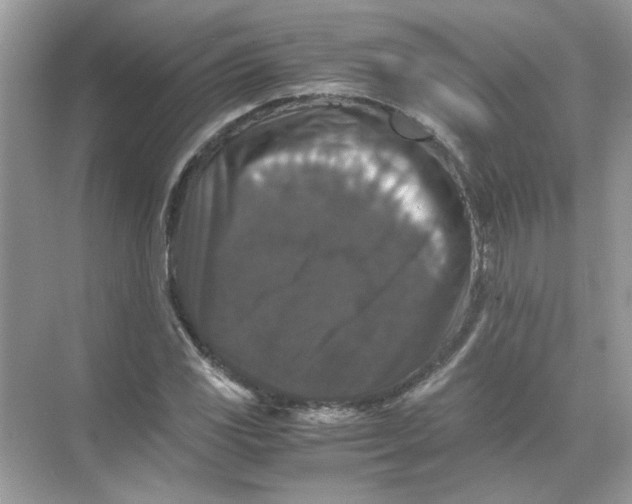 X0000071761117200607220002