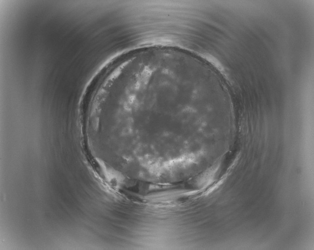 X0000071761118200607220003