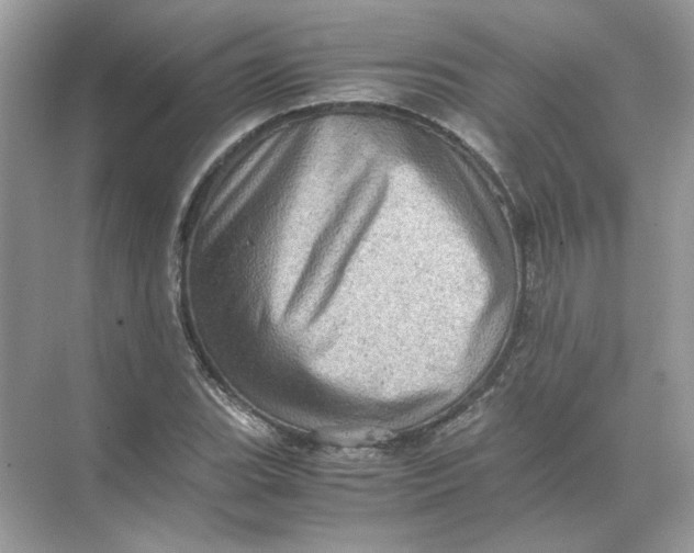 X0000071761119200607220003