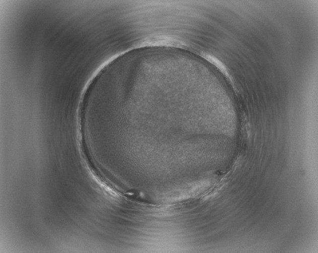 X0000071761120200607220003