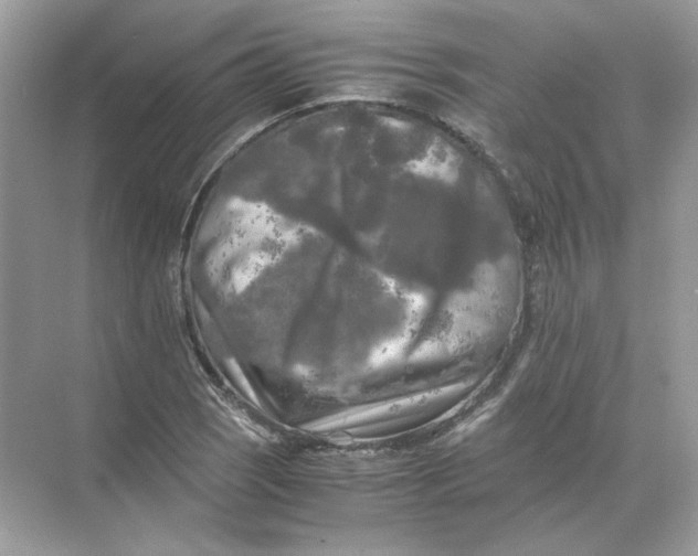 X0000071761121200607220003