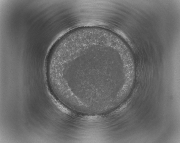 X0000071761122200607220003