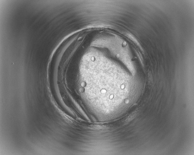 X0000071761124200607220003