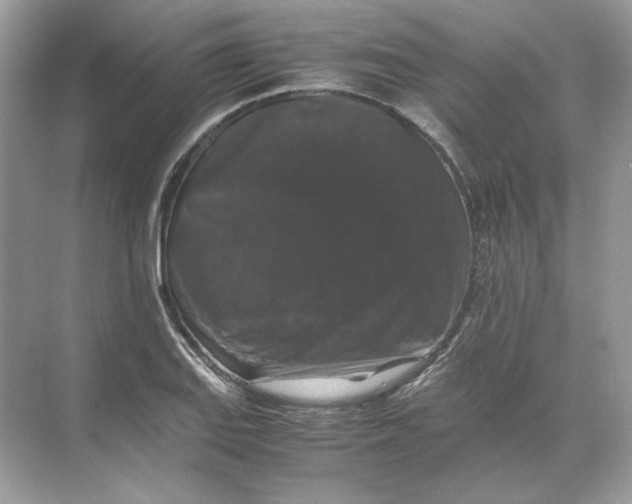 X0000071761127200607220003