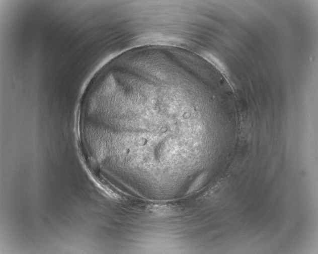 X0000071761128200607220003