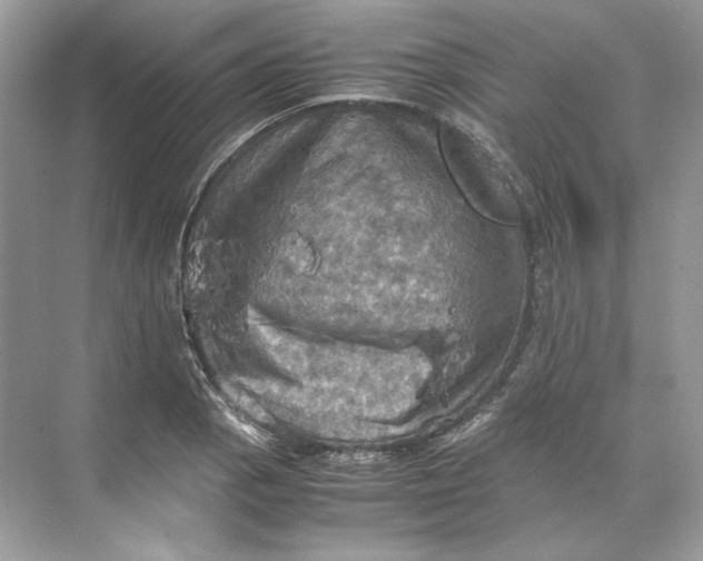 X0000071761129200607220003