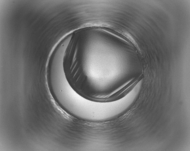 X0000071761132200607220003