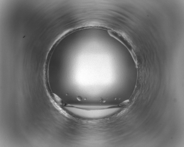 X0000071761134200607220003