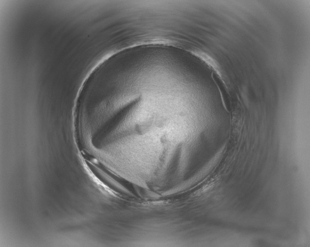 X0000071761135200607220003