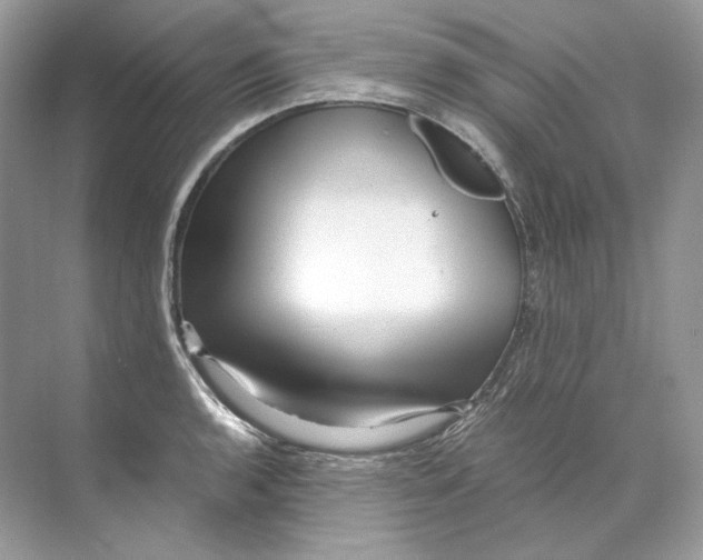 X0000071761136200607220003